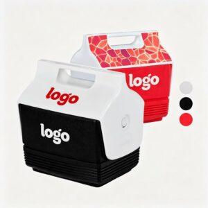 Mini Hard Cooler