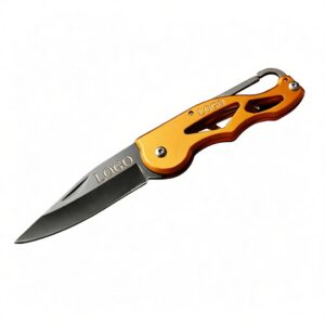 Stainless Steel Folding Knife