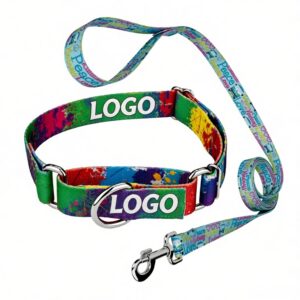 Dye-Sublimation Dog Leash with Adjustable Collar & Carabiner