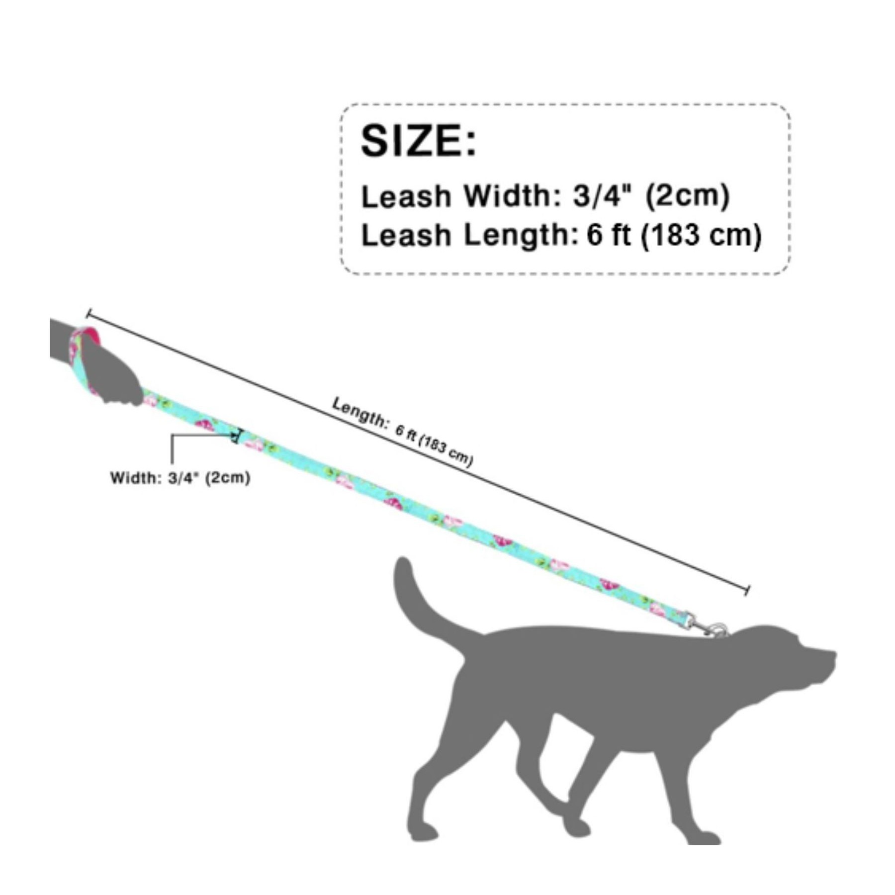 Dye-Sublimation Dog Leash with Adjustable Collar & Carabiner - Image 2