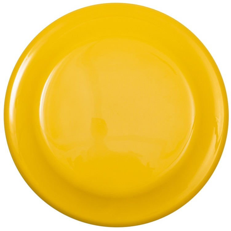 9" Flyer Disc - Image 3