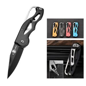 Stainless Steel Folding Knife
