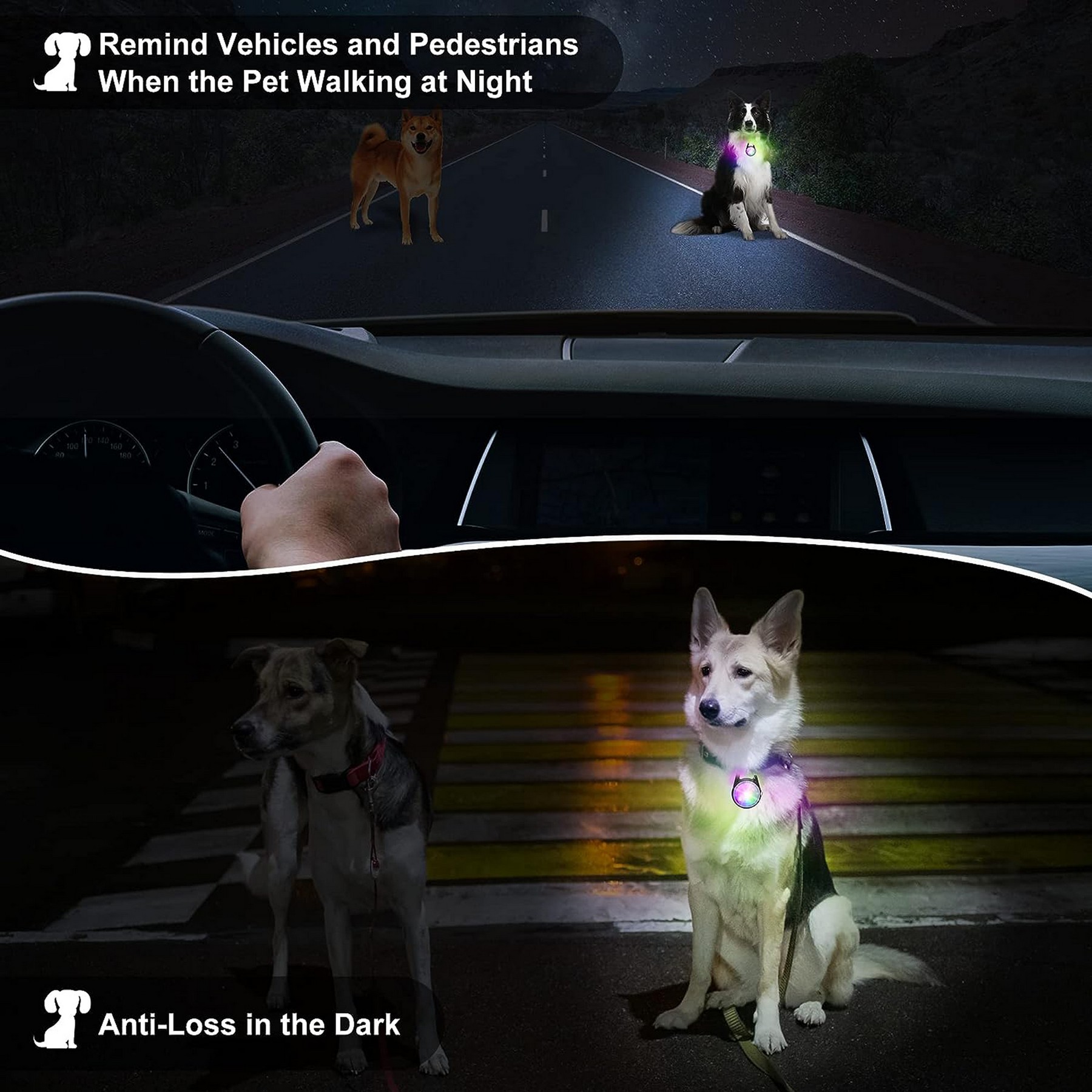 LED Light Up Pet Collar For Safety Dog Collar - Image 4
