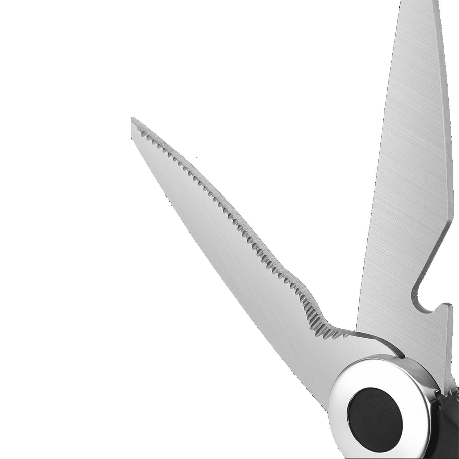 Stainless All-Purpose Kitchen Scissor - Image 4