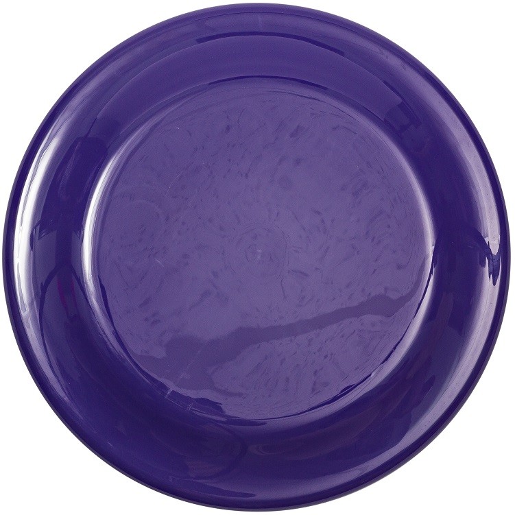 9" Flyer Disc - Image 4
