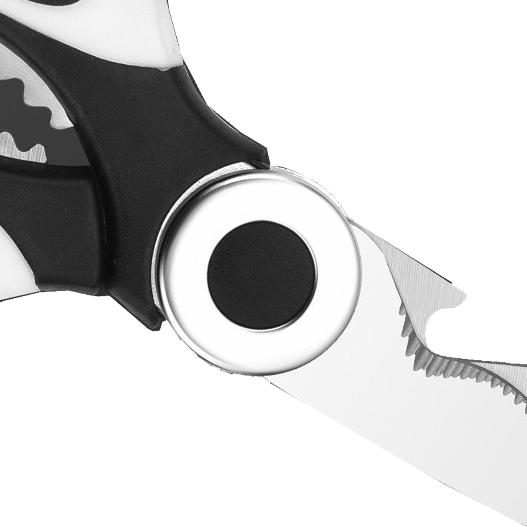 Stainless All-Purpose Kitchen Scissor - Image 5