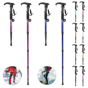 Aluminum Alloy Quick Lock Trekking Pole