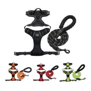 Reflective Night Dog Harness Leash Set