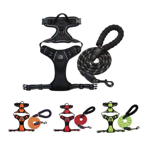 Reflective Night Dog Harness Leash Set